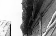 A roof support structure in a barn