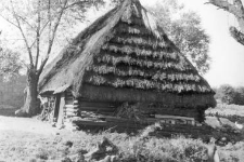 A barn
