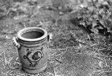 Pot