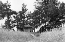 Croft