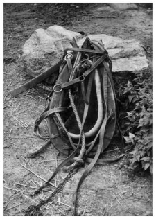 A horse collar