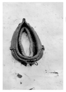 A horse collar