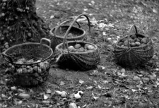 Baskets