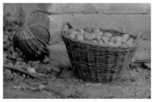 Baskets