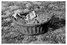 A small bread proofing basket