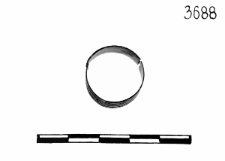 ring (Polesiny) - chemical analysis