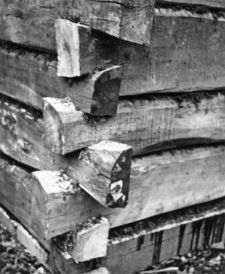 Log cottage
