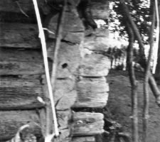 Log cottage
