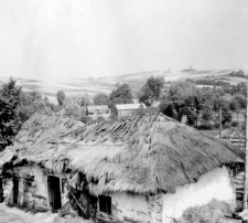 Cottage, stable