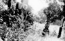 A fragment of a graveyard