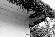 A roof setting on a log