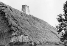 A cottage straw roof
