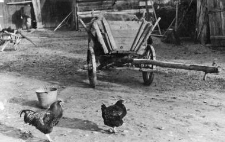 Wagon