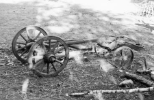 Wagon