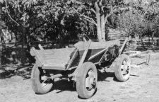 Wagon