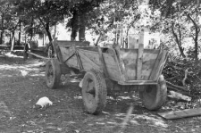 Wagon