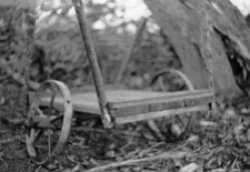 Cart