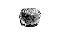 clay pad (Bruszczewo) - chemical analysis