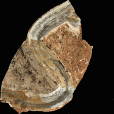 Tabular chert of the Baiersdorf-type : 3D documentation