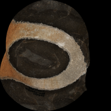 Cretaceous flint : 3D documentation