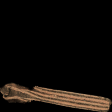 Temple ring (fragment) [3D]