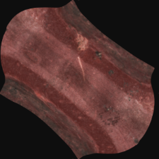 Stone spindle whorl [3D]