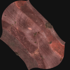 Stone spindle whorl [3D]