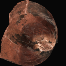Radiolarite : 3D documentation