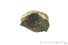 Cretaceous flint : 2D documentation