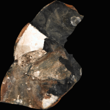Cretaceous flint from Rijckholt-St.Geertruid mine : 3D documentation