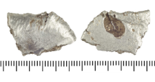 Silver clump