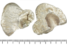 Silver clump