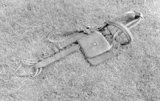 Bridle with blinkers