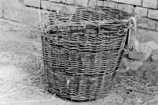 Basket