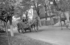 Wagon harnessed with a single horse