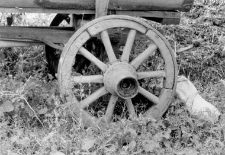 Fragment of a wagon