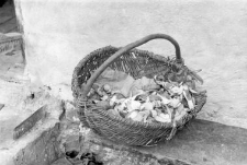 Basket with a handle