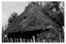 Cottage, roof