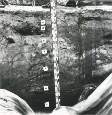 Fragment profilu zachodniej ściany wykopu z zaznaczonymi miejscami pobrania próbek geologicznych
