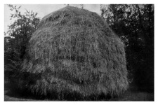 Haystack
