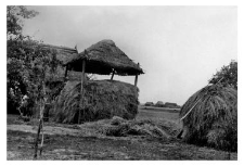 Hayrack