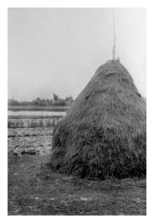 Haystack
