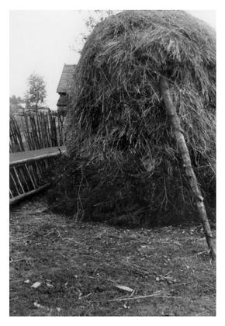 Haystack
