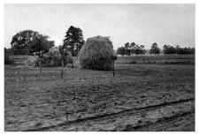 Haystacks