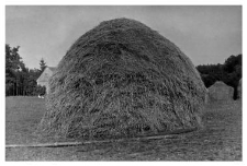 Haystack