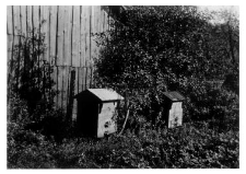 A wooden beehive