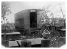 An apiary