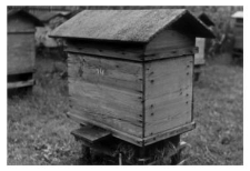A wooden beehive