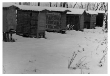 Wooden beehives