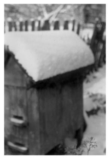 A wooden beehive